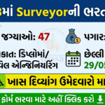 GSSB Surveyor Class-3 Recruitment 2026 Special Drive for Divyang Candidates Official Notification